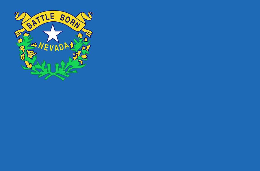 State Flag of Nevada Painting by American School