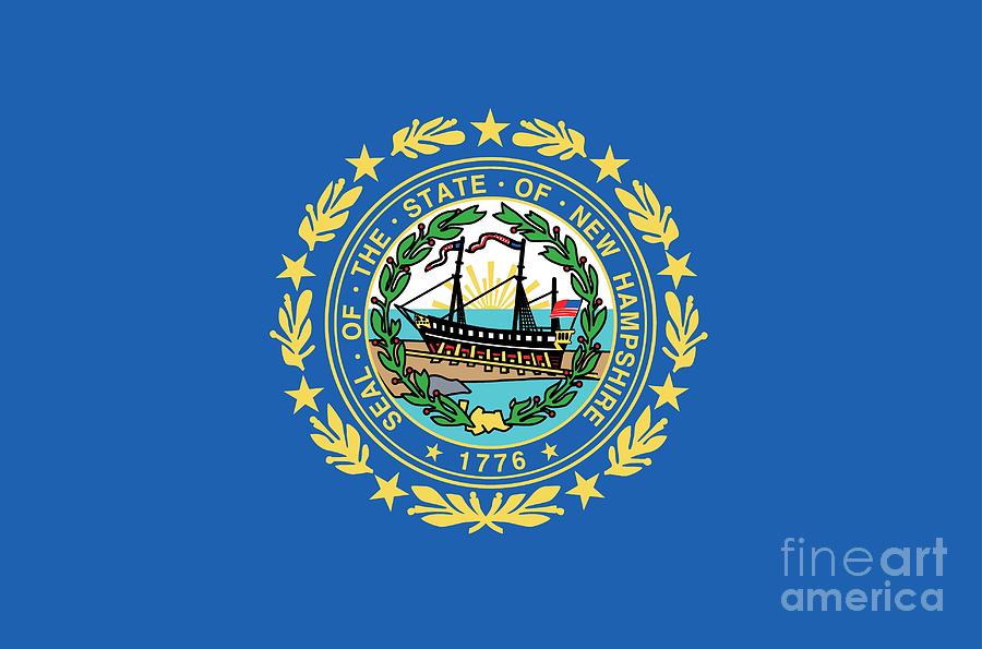 State Flag of New Hampshire Painting by American School