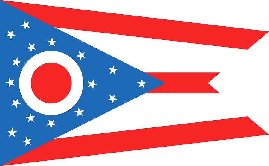 State Flag of Ohio Painting by American School