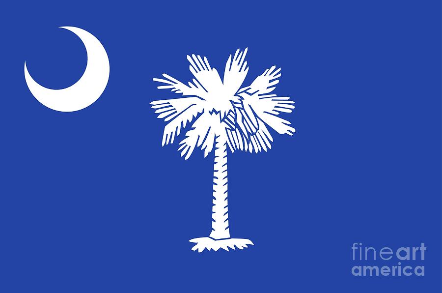 State Flag of South Carolina Painting by American School