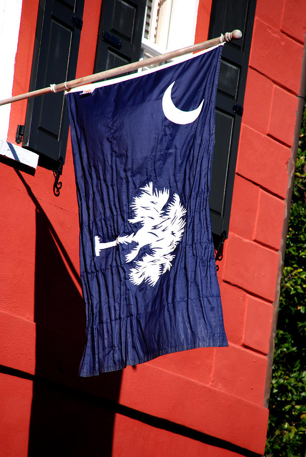 State Flag of South Carolina Photograph by Susanne Van Hulst