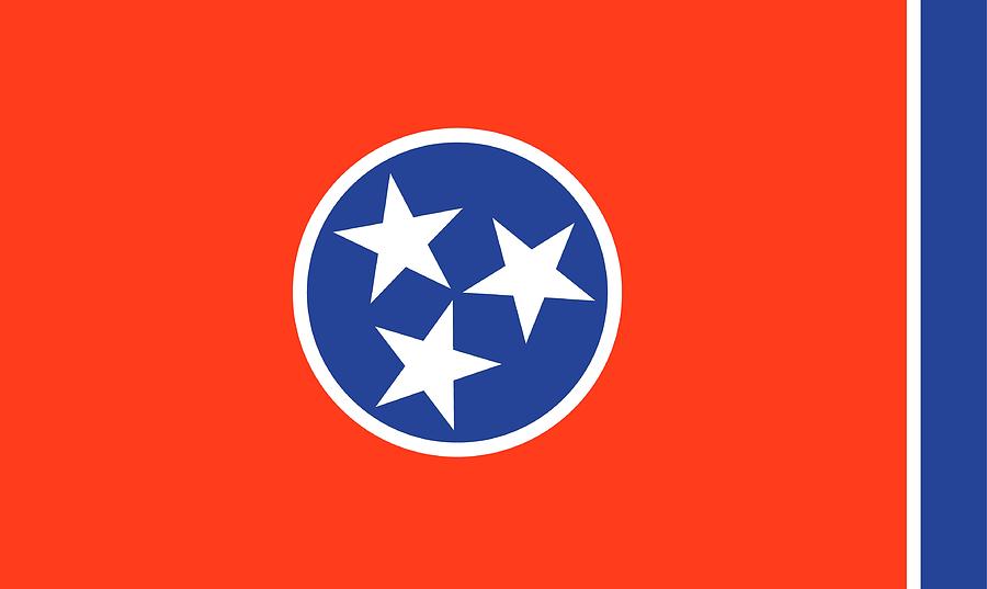State Flag of Tennessee Painting by American School