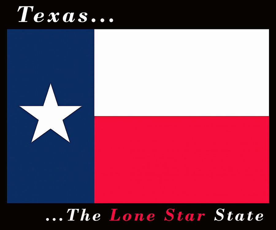 State Flag Of Texas Painting by Floyd Snyder