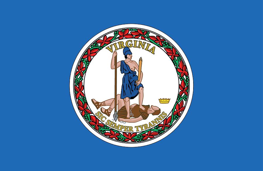 State Flag of Virginia Painting by American School