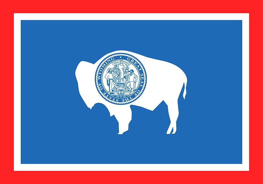 Buffalo Painting - State Flag of Wyoming by American School