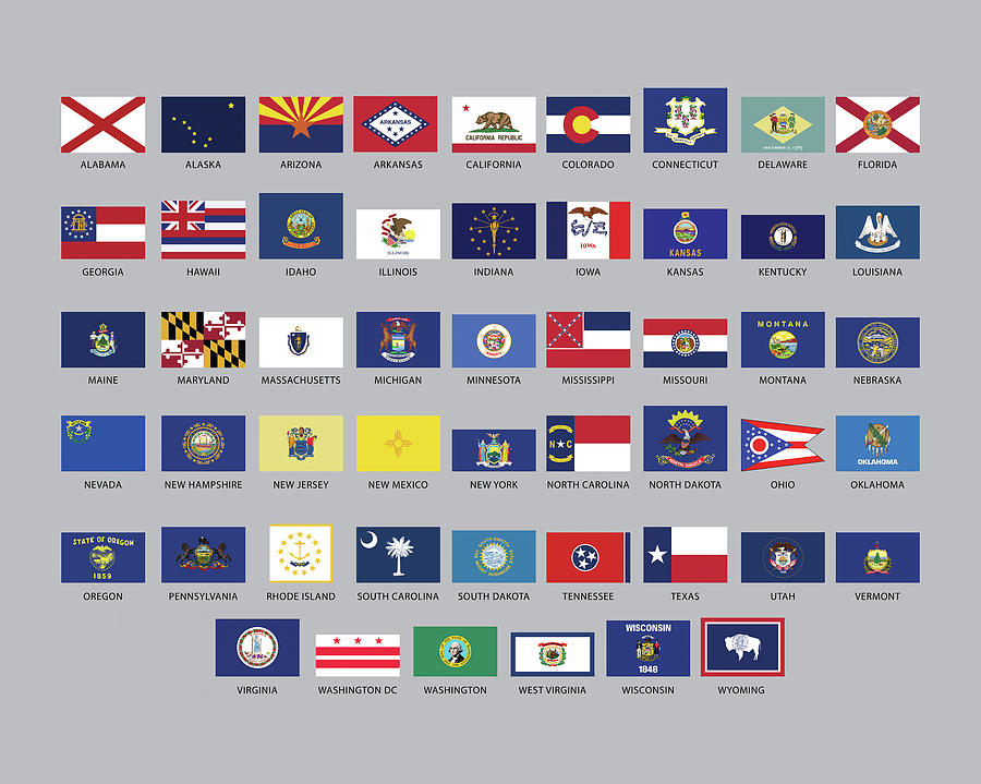 State Flags of the USA Digital Art by Roy Pedersen