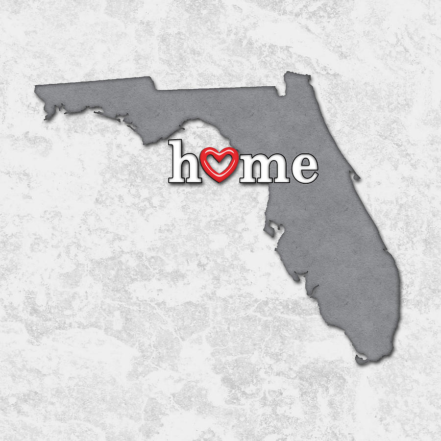 Map Painting - State Map Outline FLORIDA with Heart in Home by Elaine Plesser