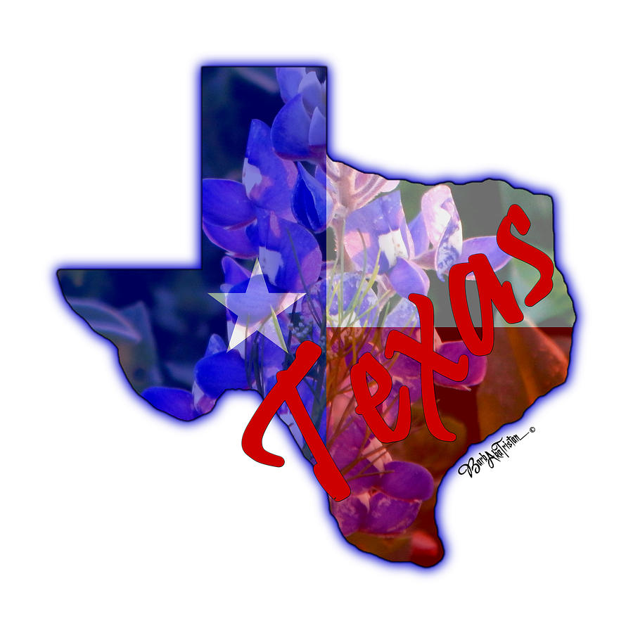 State of Texas Photograph by Barbara Tristan