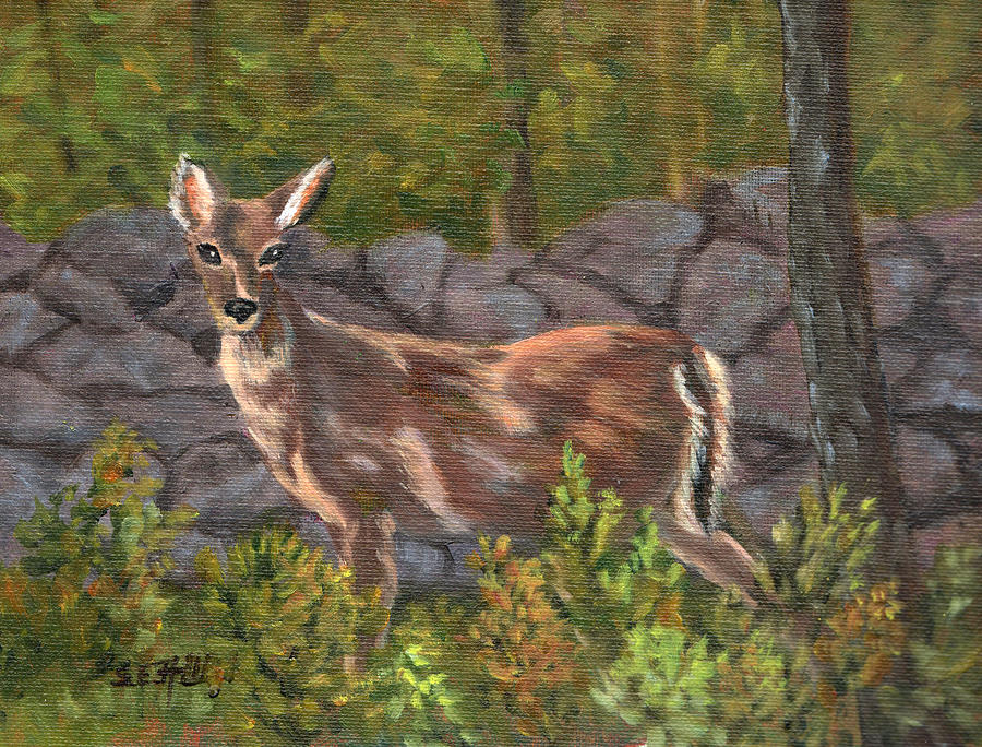 Stately Doe Painting by Sharon E Allen