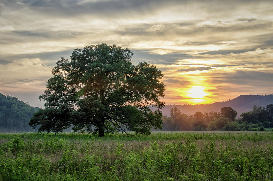 Blount County Photograph - Stately by Kristina Plaas Blount County Photograph - Stately by Kristina Plaas