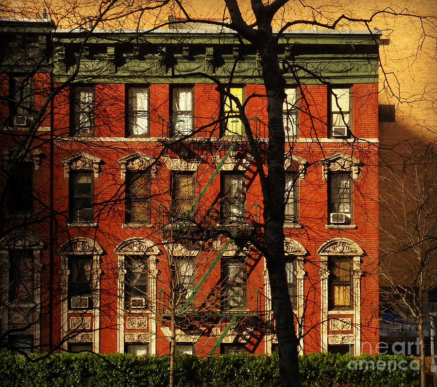 Stately Old Home - New York Photograph by Miriam Danar