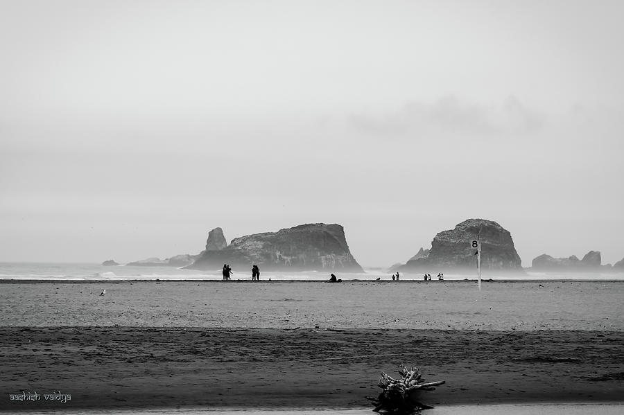 Station 8, Oregon Coast Photograph by Aashish Vaidya