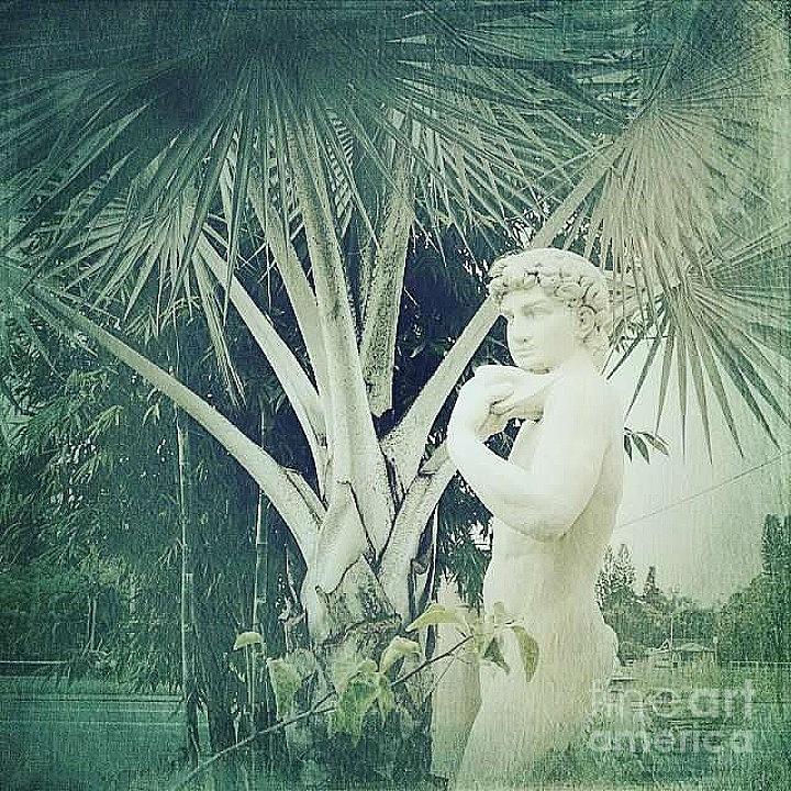 Statue and Palm Photograph by Beth Williams - Fine Art America