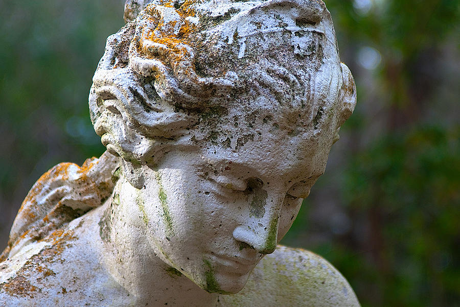 Statue at Magnolia Gardens Photograph by Pat Exum