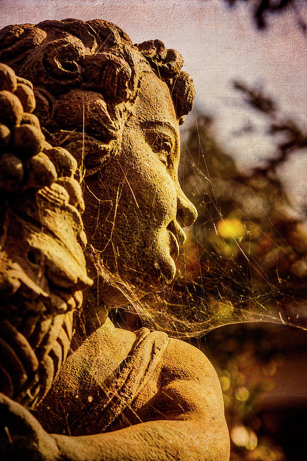 Statue In Cobwebs Photograph by Garry Gay
