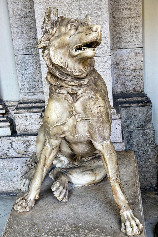 Statue Of A Molossian Hound At The Vatican Museum Photograph by Rick Rosenshein