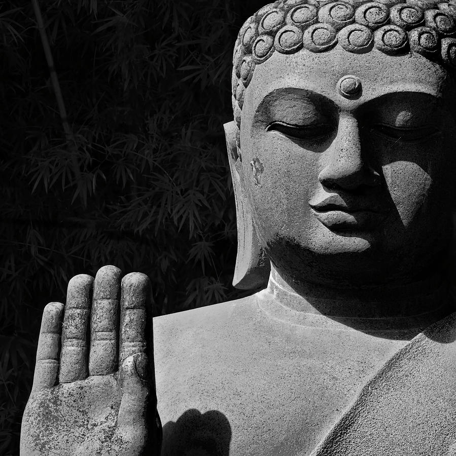 Statue of Buddha Photograph by Catherine Reading