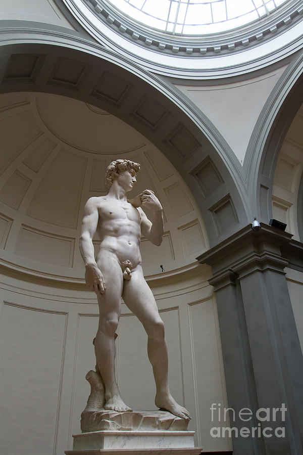 Michelangelo Photograph - Statue of David by Denise Lilly