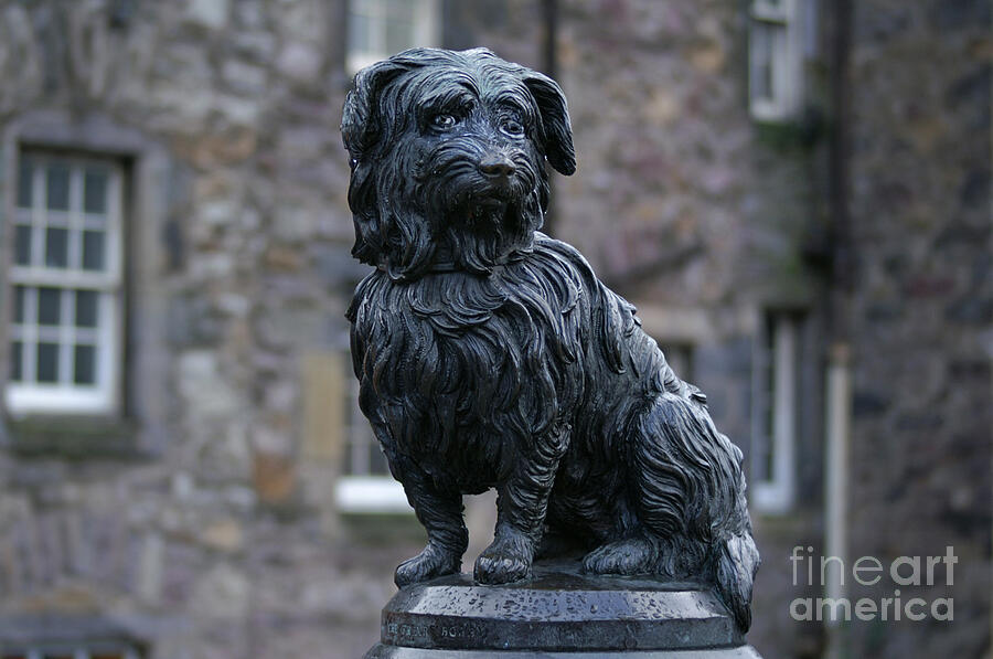 Statue of Greyfriars Bobby in Edinburgh Photograph by David Birchall