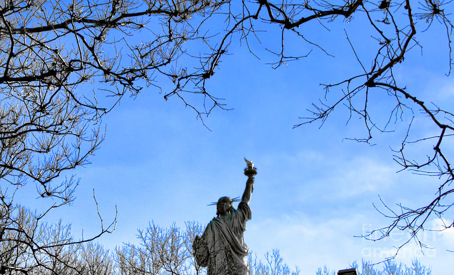 Statue of Liberty Back View  Photograph by Chuck Kuhn