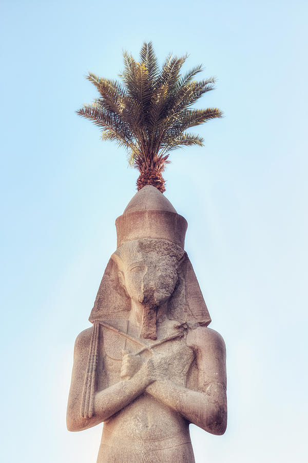 statue of Ramses Photograph by Joana Kruse