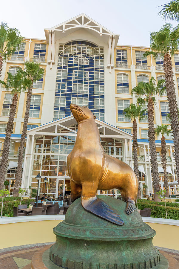 Statue of sea lion in front of Table Bay Hotel in Cape Town Photograph by Marek Poplawski