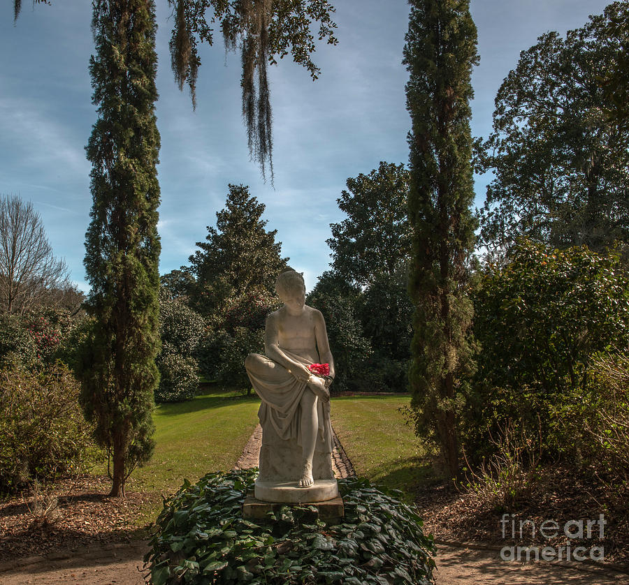 Statue On The Grounds Of Middleton Plantation Photograph