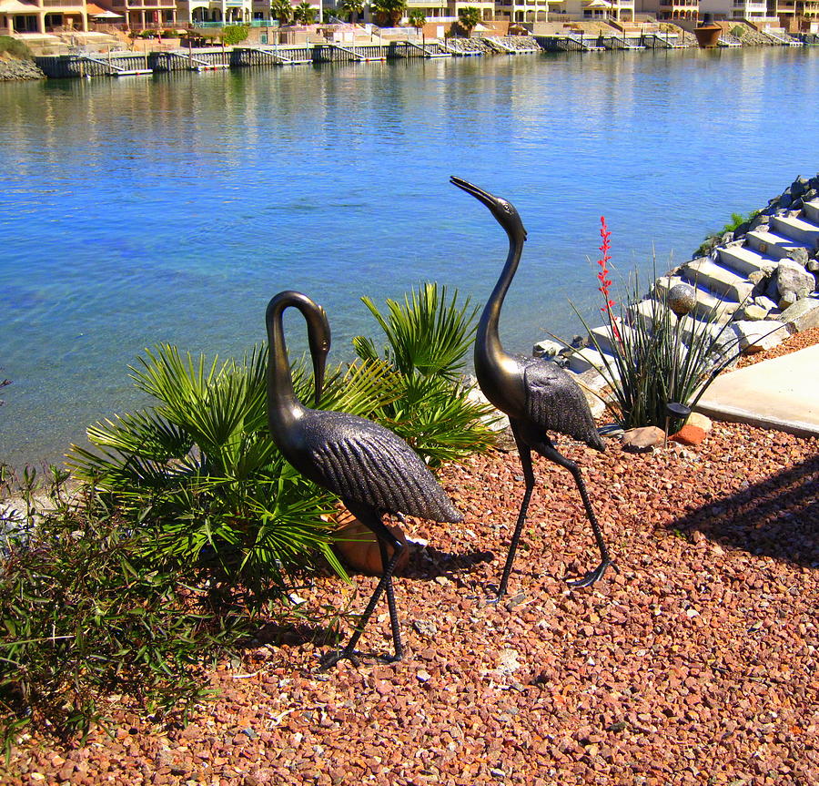 Statueque Cranes Photograph by Lessandra Grimley