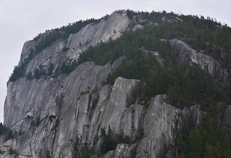 Fall Photograph - Stawamus Chief by Richard Andrews