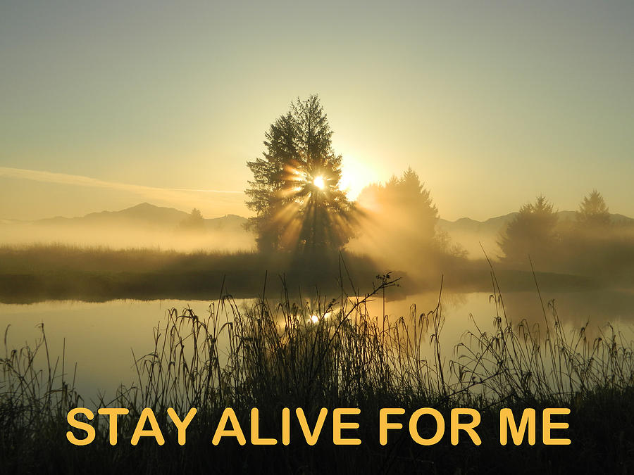 Stay Alive For Me Photograph by Gallery Of Hope 