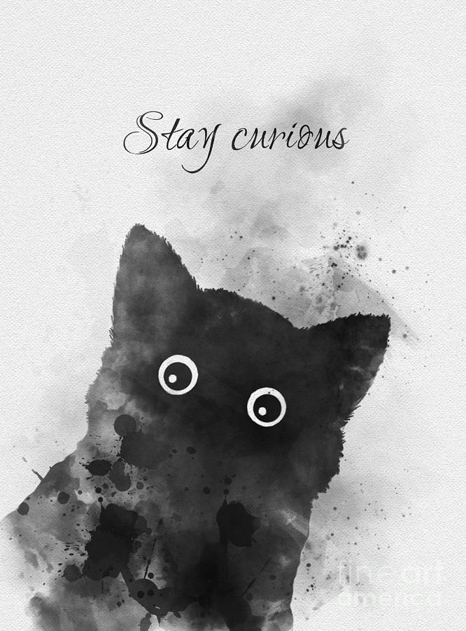 Stay Curious Mixed Media by My Inspiration