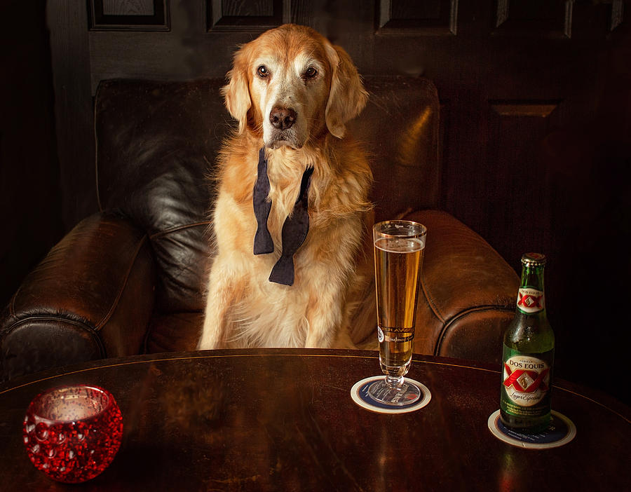 Beer Photograph - Stay Furry, My Friends by Danica Barreau