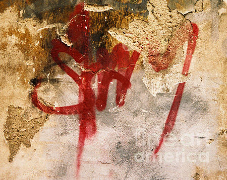 Graffiti Photograph - Stay by K Randall Wilcox Graffiti Photograph - Stay by K Randall Wilcox