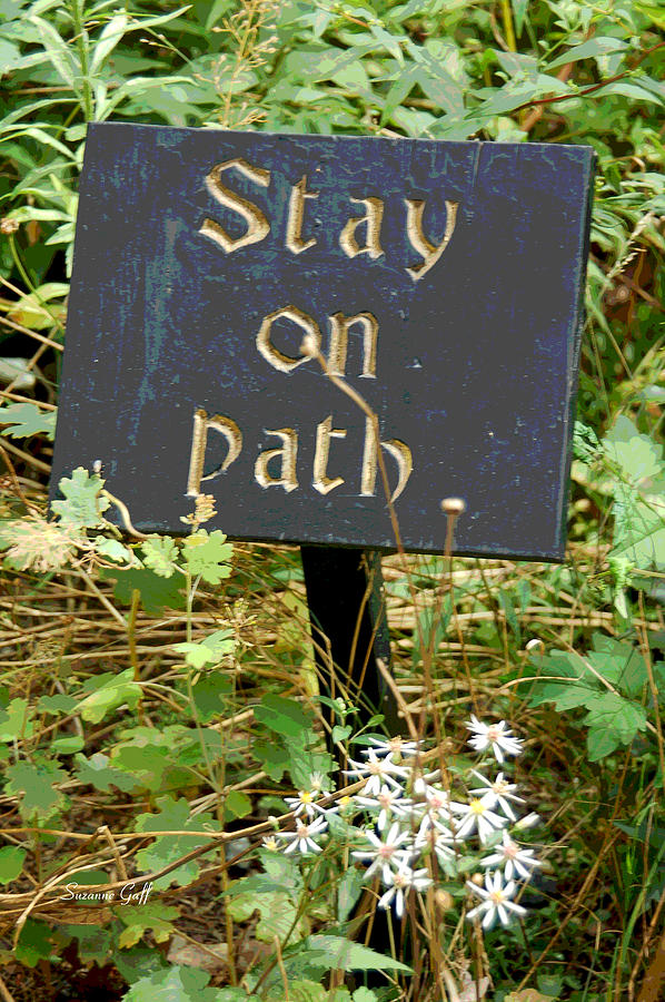 Stay on Path Photograph by Suzanne Gaff
