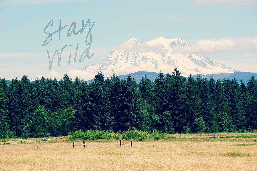 Stay Wild Photograph by Robin Dickinson