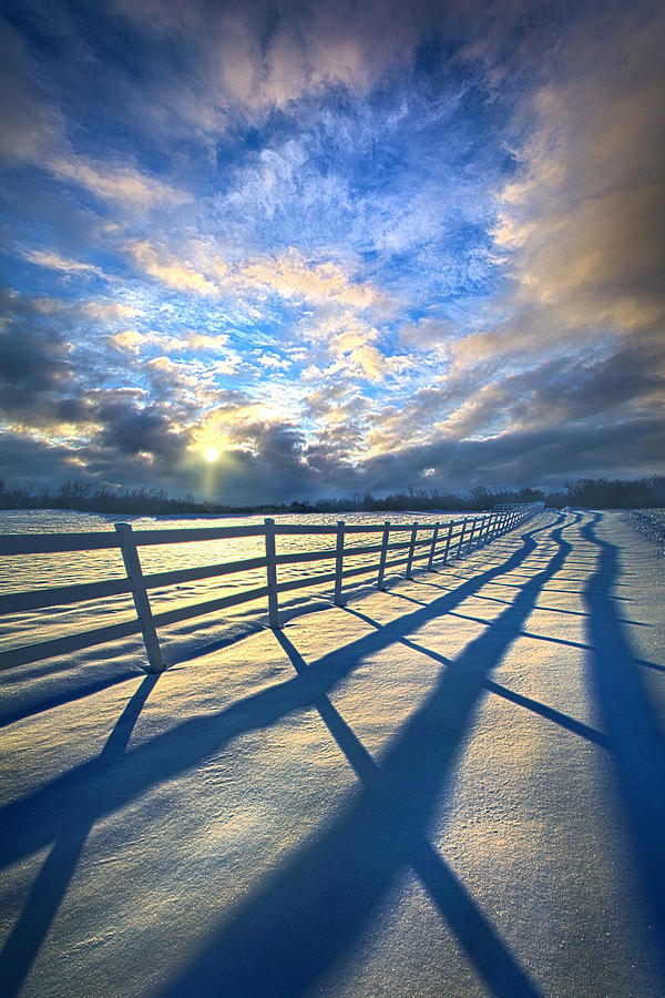 Winter Photograph - Staying Between the Lines by Phil Koch