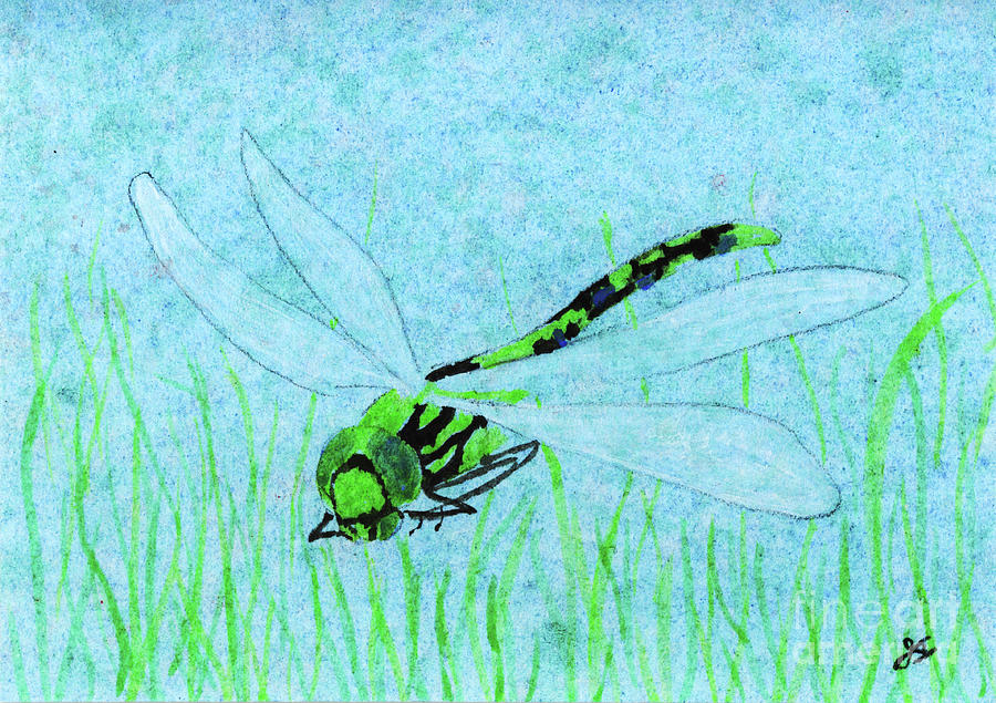 Stealth Dragonfly Painting by Jackie Irwin