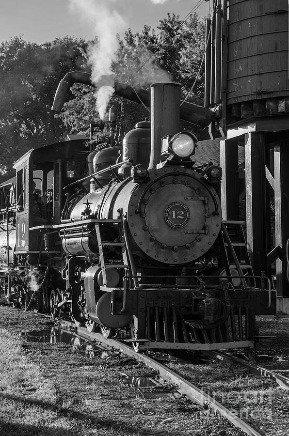 Steam Train Engine #12 Photograph by Tamara Becker