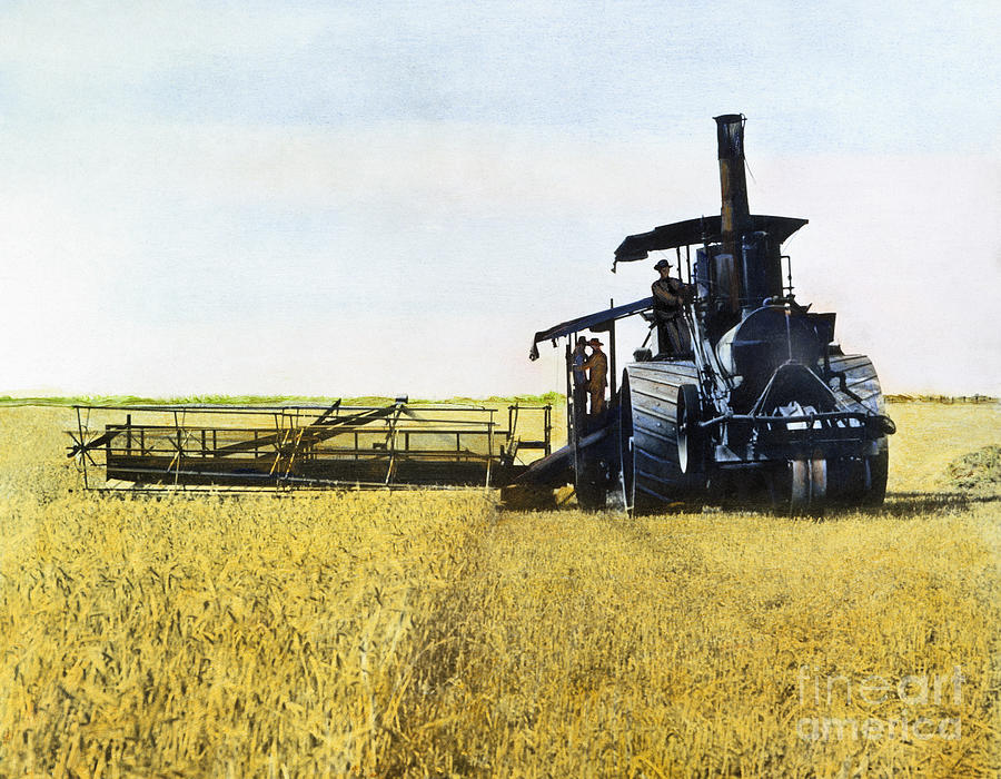 Steam Harvester, 1903 Photograph by Granger