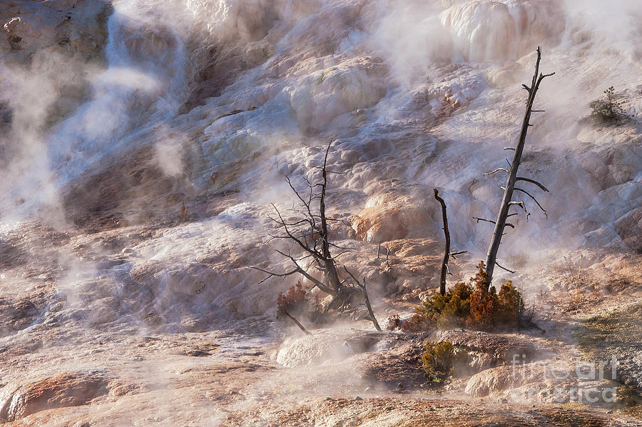 Steam in the Travertine Terraces Photograph by Bob Phillips