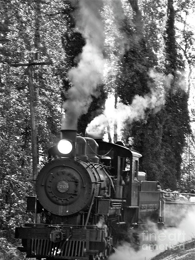 Steam Locomotive by Jean Wright Steam Locomotive by Jean Wright