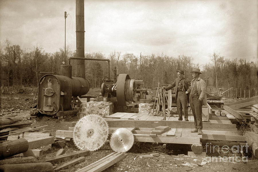 Steam Powered Photograph - steam powered sawmill  Saw Blades circa 1900 by Monterey County Historical Society