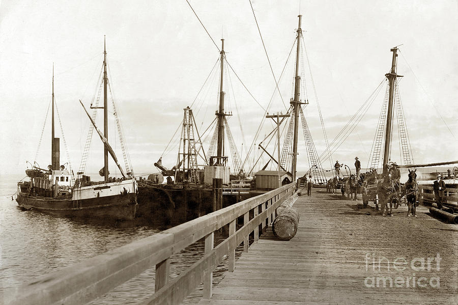 Pier Photograph - Steam schooner Grace Dollar Docked at Oil pier Monterey c 1904 by Monterey County Historical Society