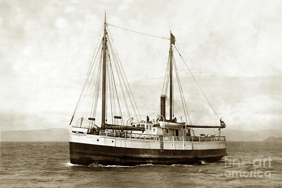 Steam Screw/schooner Gipsy, Circa 1900 Photograph