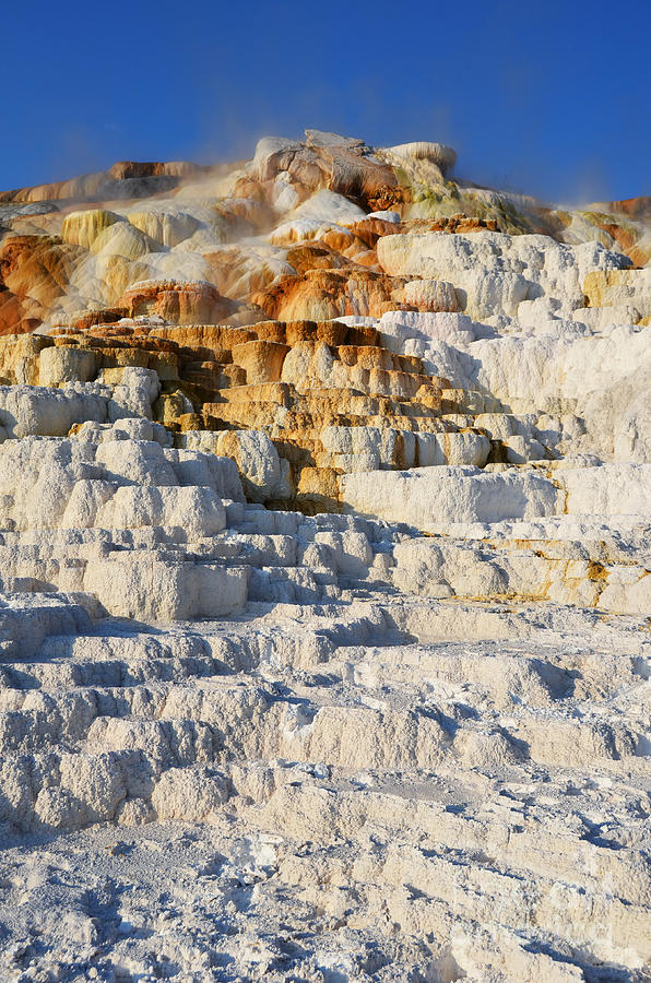 Steam Topped Travertine Hot Spring Terraces Mammoth Hot Springs Yellowstone National Park Photograph by Shawn OBrien