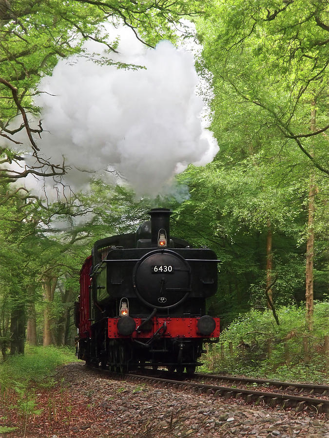 Steam Train Approaching in The Forest Photograph by Gill Billington