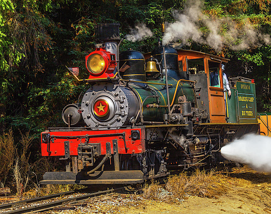 Train Photograph - Steam Train Dixiana by Garry Gay
