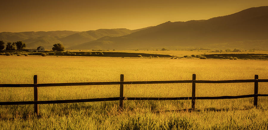 Steamboat Springs Pastoral Morning Photograph by Don Schwartz