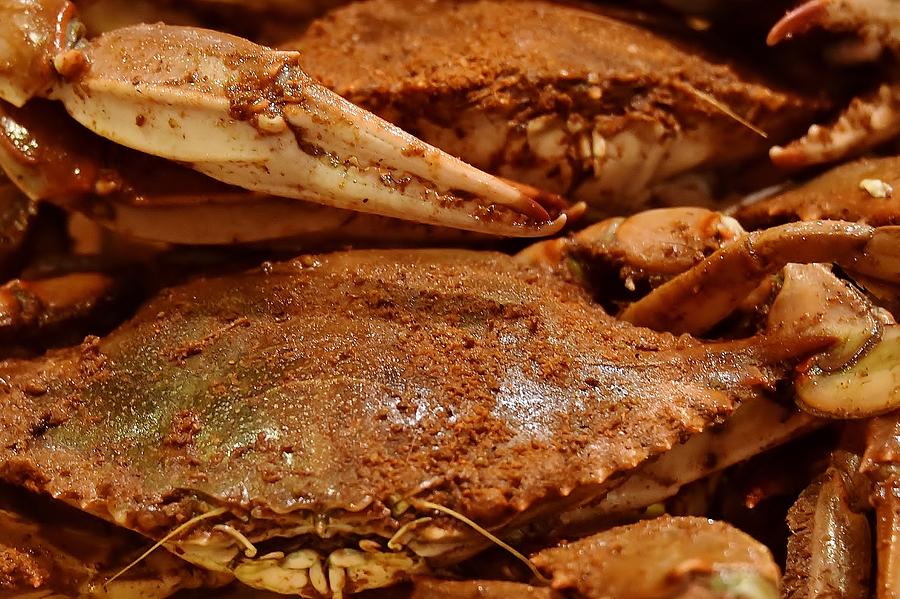 Hot Steamed Crabs Photograph by Kim Bemis
