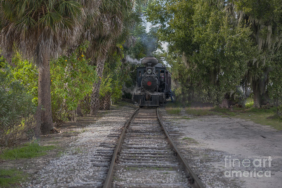 Steaming Down The Tracks Photograph